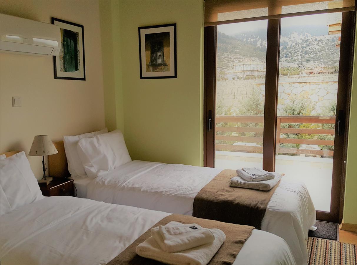 Mountain Chalet Livadi Arachova Exterior photo